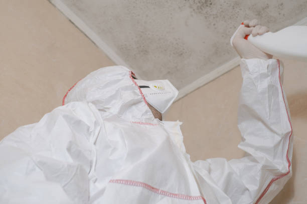 Best Mold Remediation for Schools in Hughestown, PA